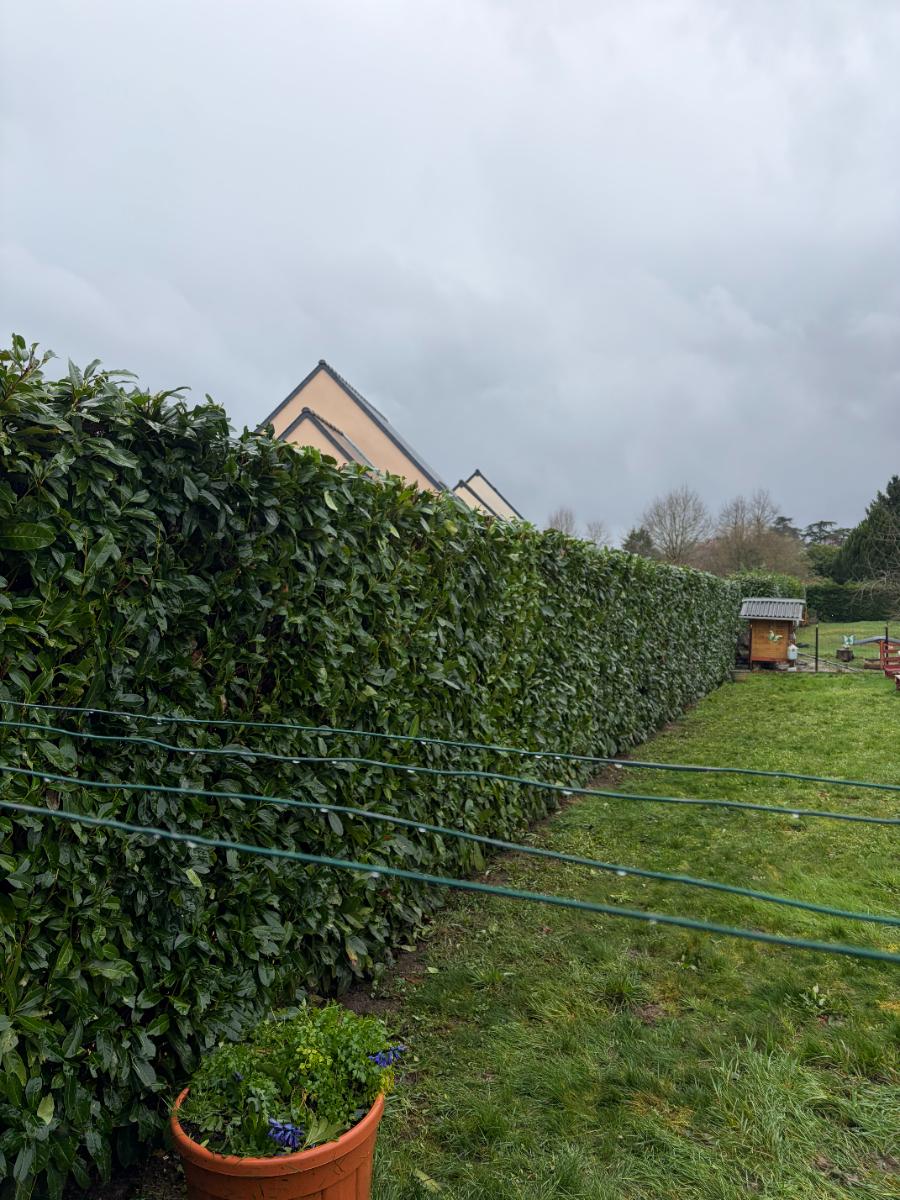Chantier d'entretien de jardin réalisé par Nico services, paysagiste du réseau Factotum, près de Chançay