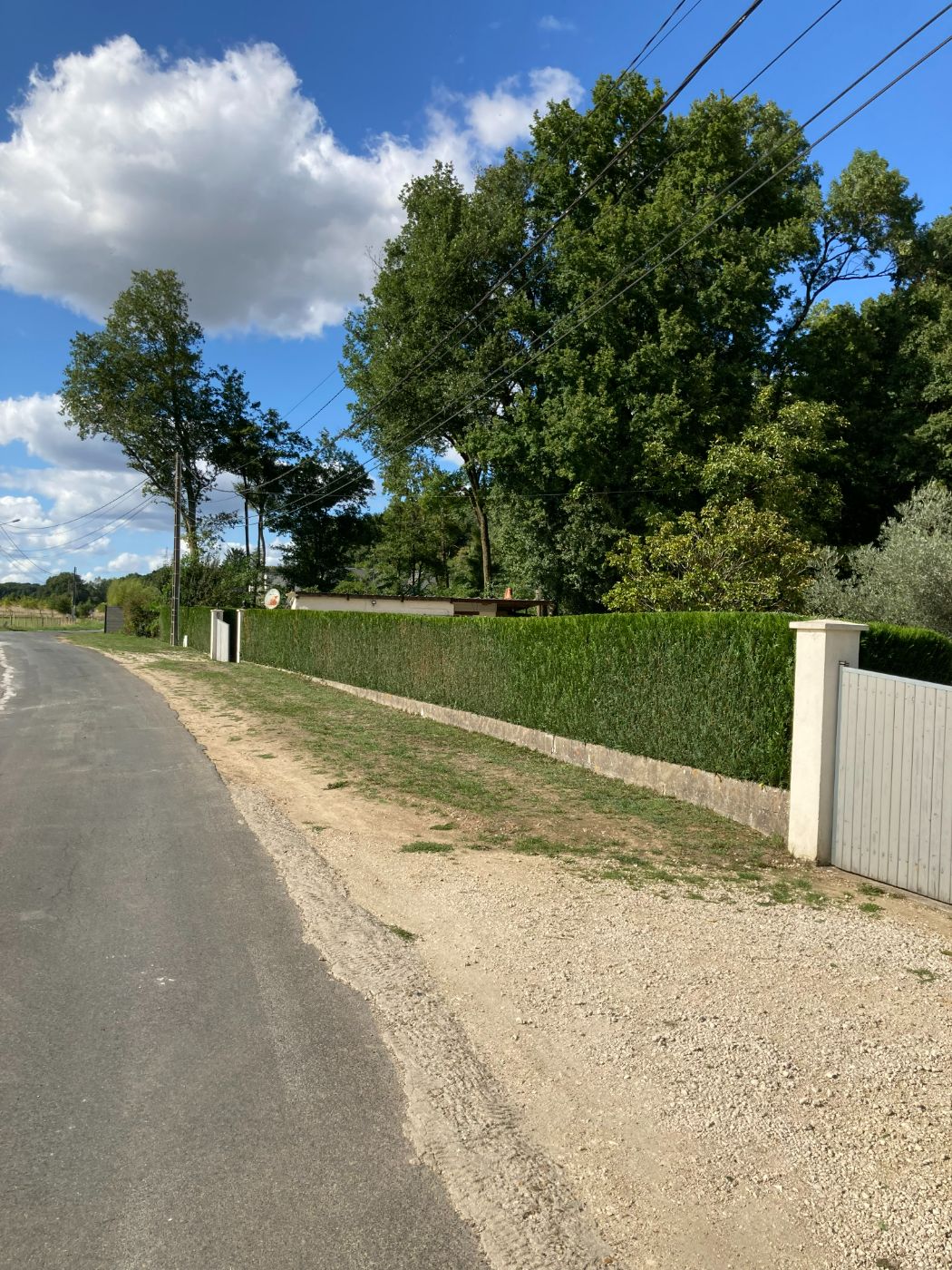 Taille de haie à Vernou-sur-Brenne, réalisé par Nico services