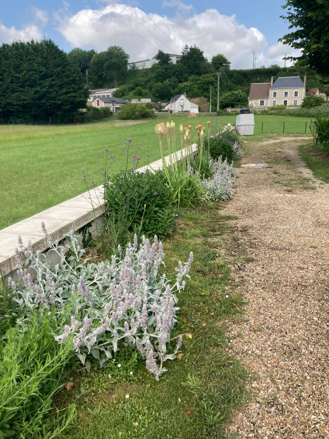 Plantation de vivaces – Jardin facile & sans arrosage, Chançay, réalisé par Nico services