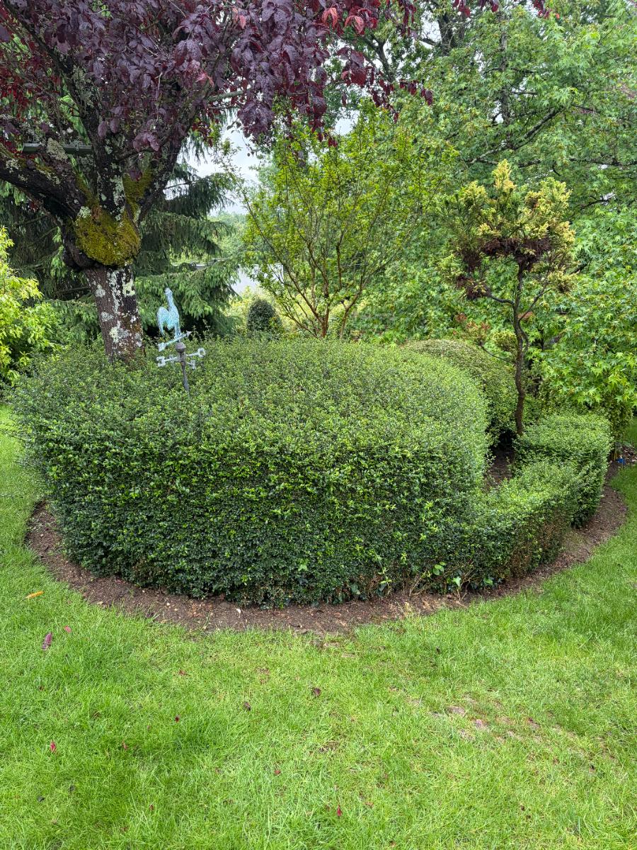 Chantier d'entretien de jardin réalisé par Nico services, paysagiste du réseau Factotum, près de Chançay