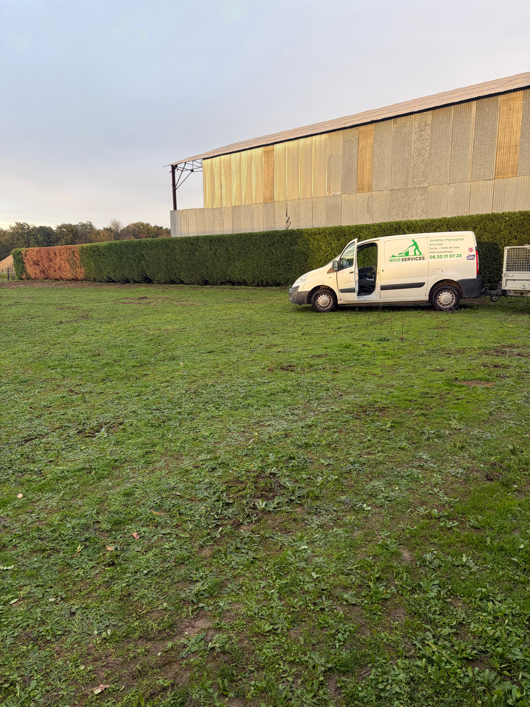 Taille de haie à Neuillé-le-Lierre, réalisé par Nico services