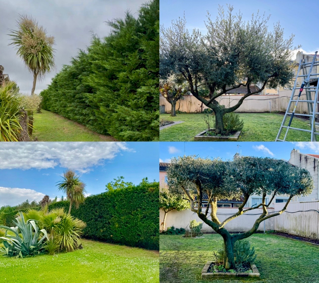 Chantier réalisé par ORC JARDIN MONTAUBAN, paysagiste à Montauban