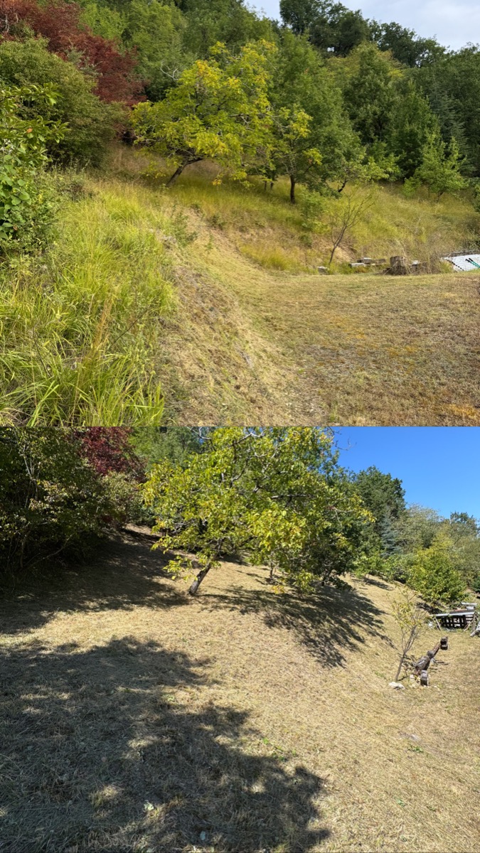 Chantier d'entretien de jardin réalisé par ORC JARDIN MONTAUBAN, paysagiste, près de Montauban