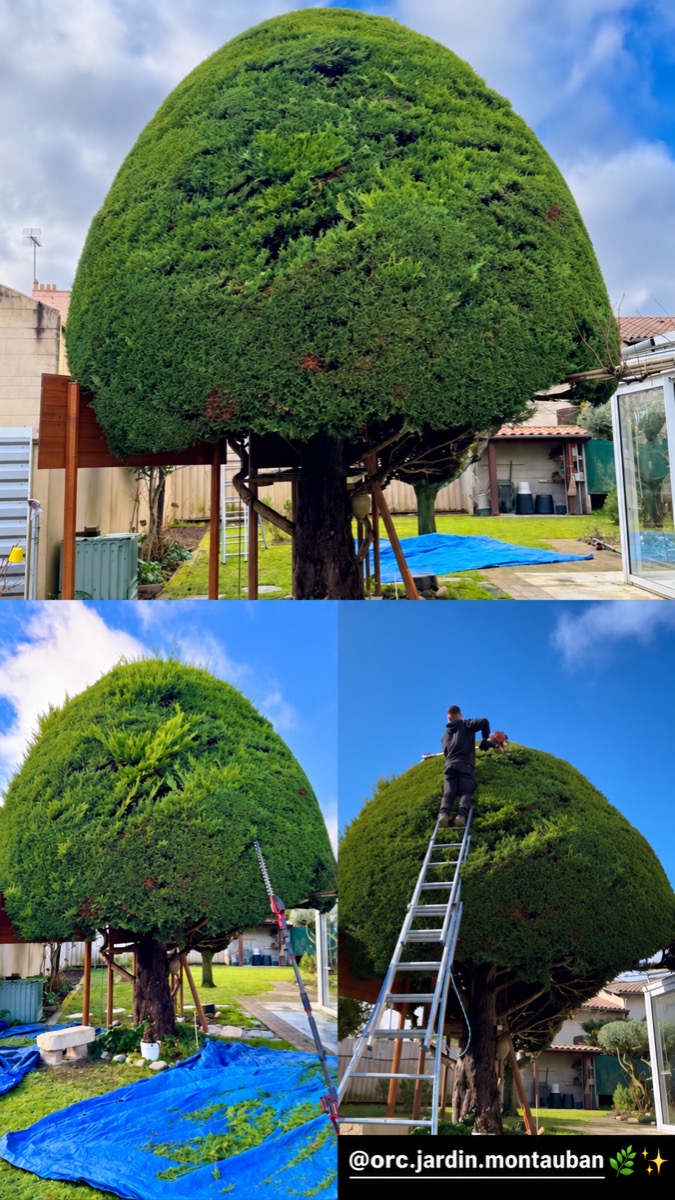 Chantier d'entretien de jardin réalisé par ORC JARDIN MONTAUBAN, paysagiste, près de Montauban