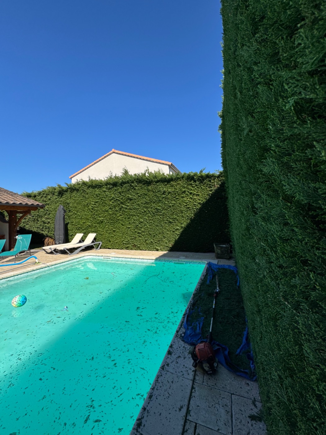 Avant intervention de ORC JARDIN MONTAUBAN