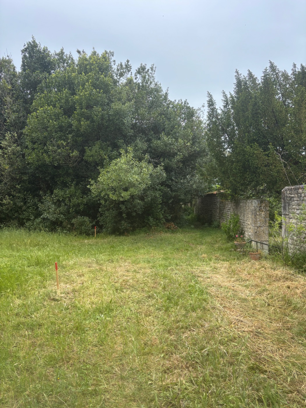 Avant intervention de Pagliaroli espaces verts, paysagiste du réseau Factotum à Commelle