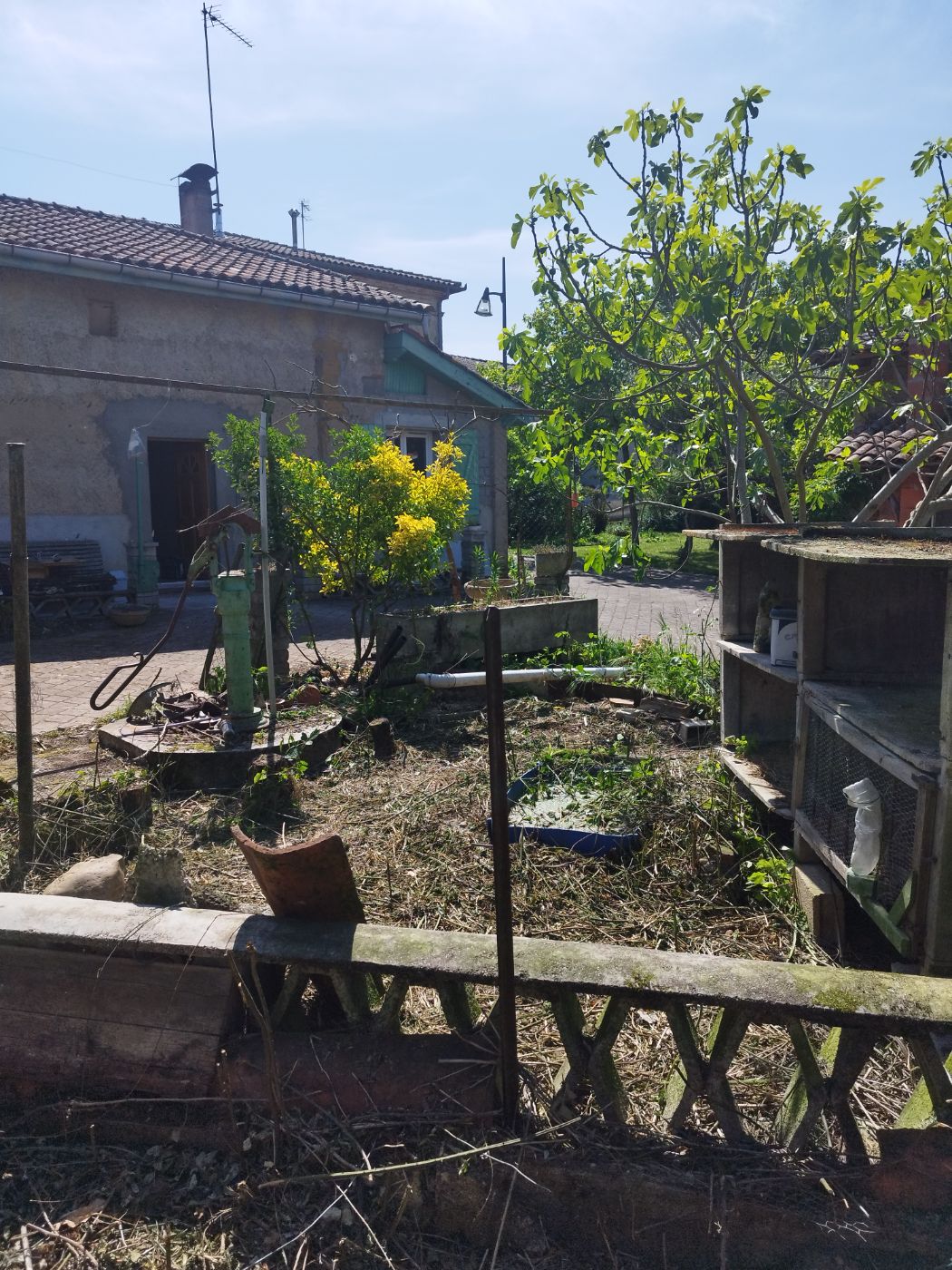 Chantier de Débroussaillage réalisé à Bérat par Pascal le Jardinier, paysagiste du réseau Factotum