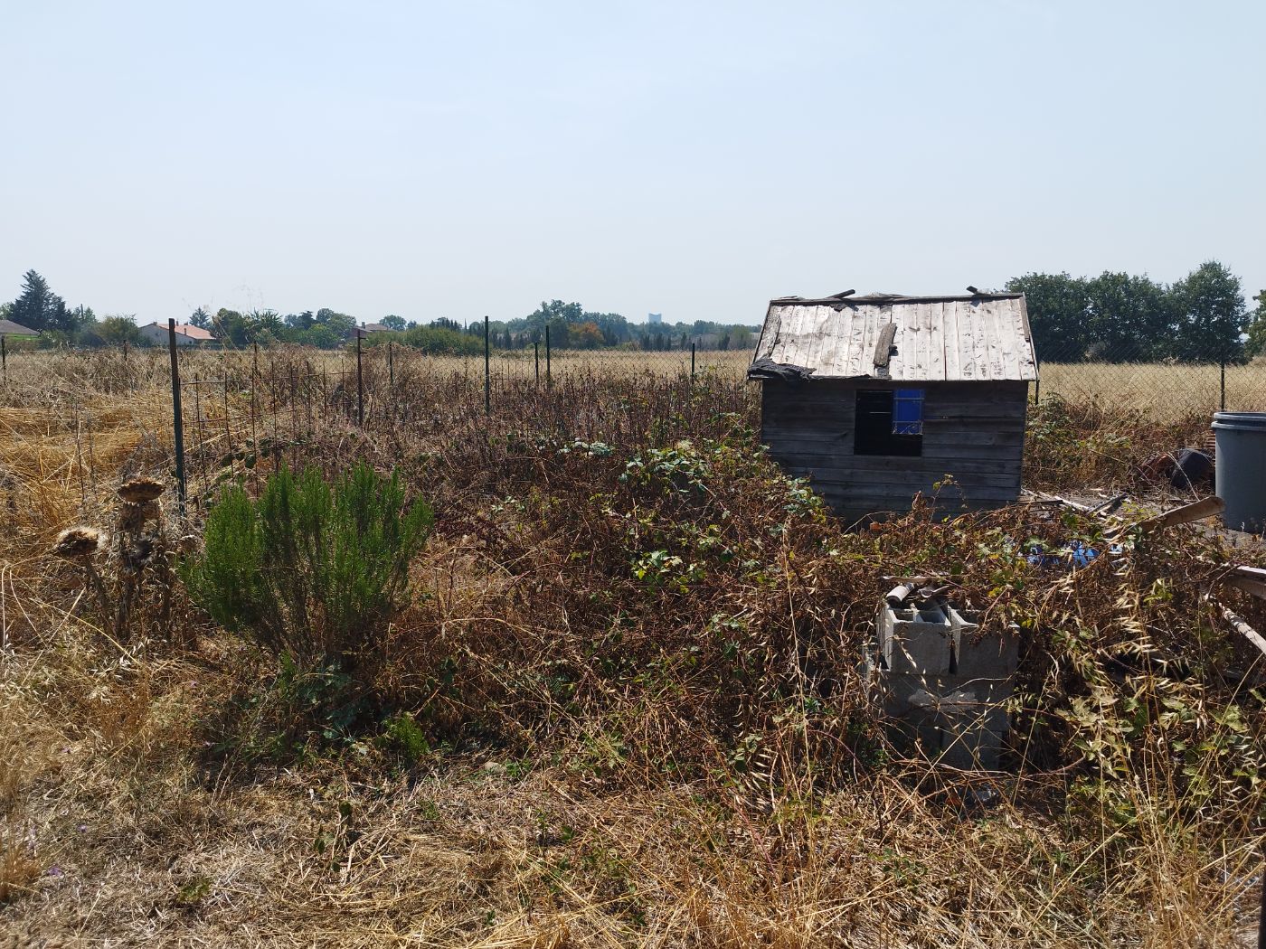 Chantier de Débroussaillage réalisé à Bérat par Pascal le Jardinier, paysagiste du réseau Factotum