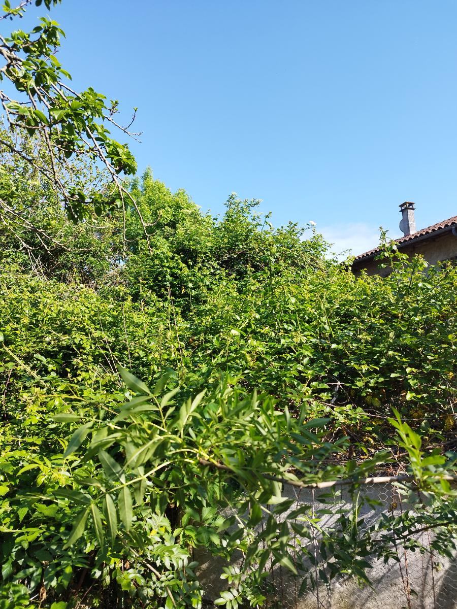 Chantier d'entretien de jardin réalisé par Pascal le Jardinier, paysagiste du réseau Factotum, près de Bérat