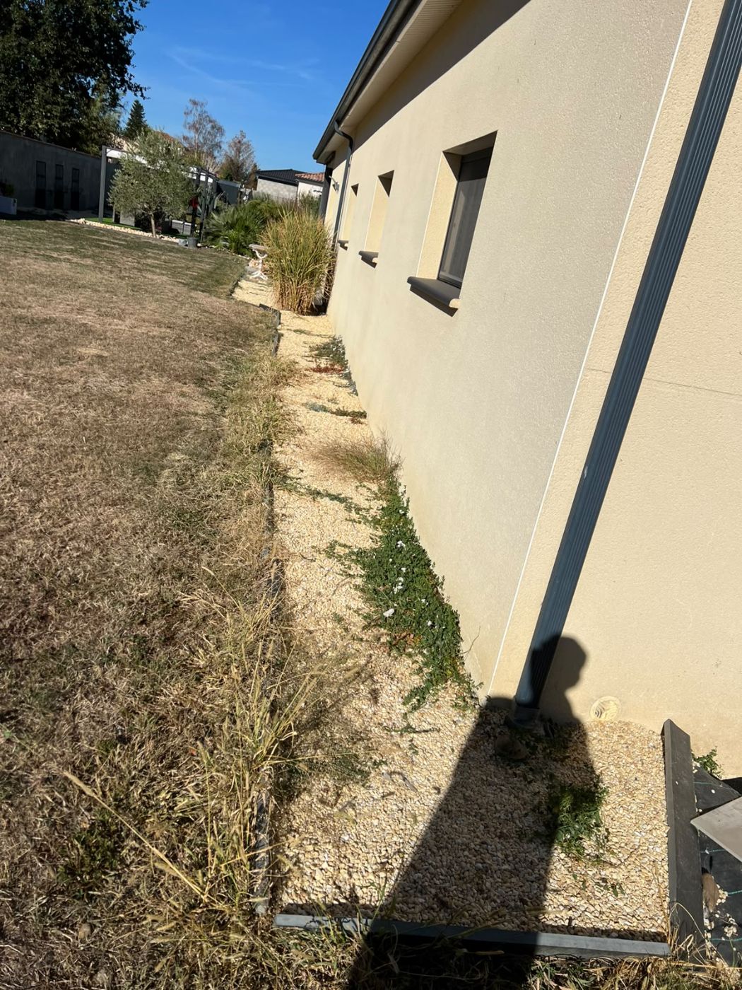 Chantier de Évacuation de déchets verts réalisé à Saint-Lys par Pascal le Jardinier, paysagiste du réseau Factotum