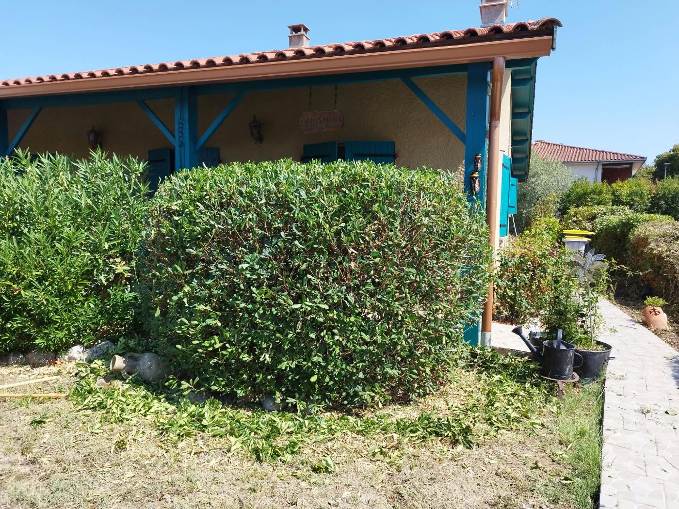 Taille et rafraichissement., Noé, réalisé par Pascal le Jardinier