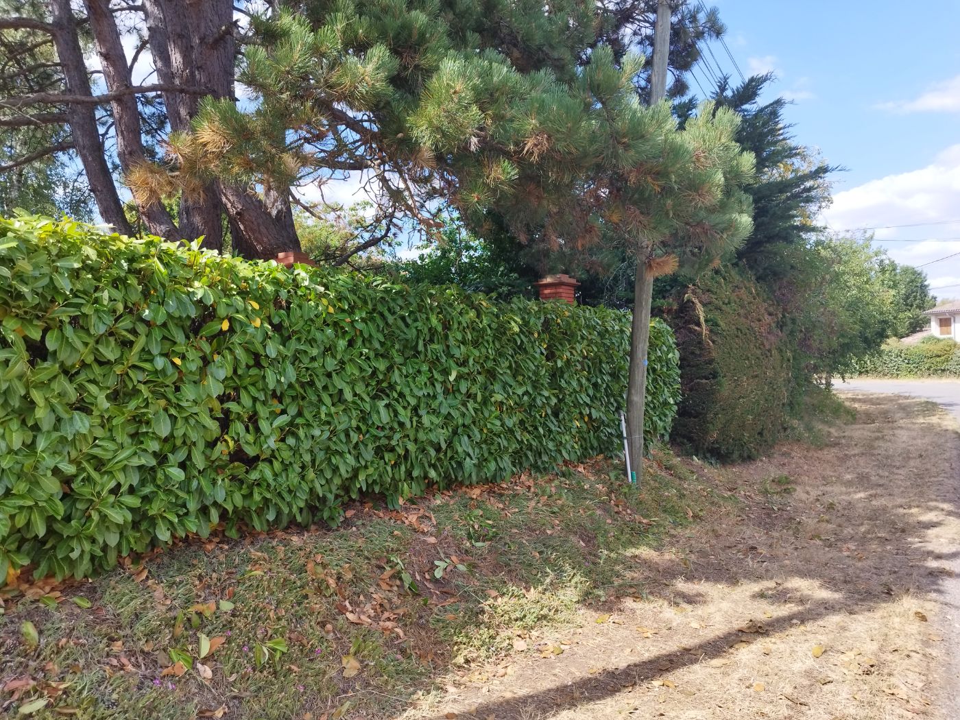 Taille de haies, Rieumes, réalisé par Pascal le Jardinier