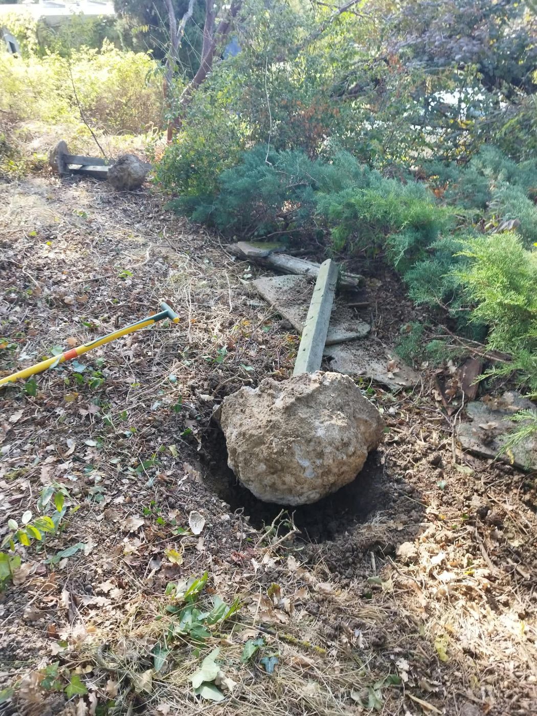 Ancien poulailler à retirer, Marquefave, réalisé par Pascal le Jardinier