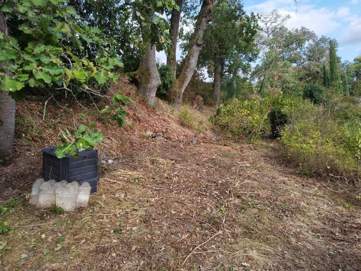 Ancien poulailler à retirer, Marquefave, réalisé par Pascal le Jardinier