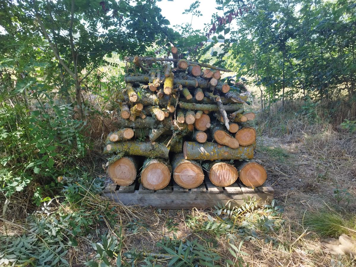 Chantier d'entretien de jardin réalisé par Pascal le Jardinier, paysagiste du réseau Factotum, près de Bérat