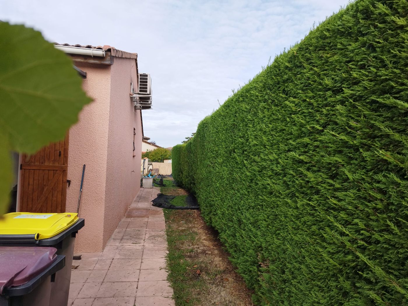 Chantier de Taille de haie réalisé à Saint-Lys par Pascal le Jardinier, paysagiste du réseau Factotum