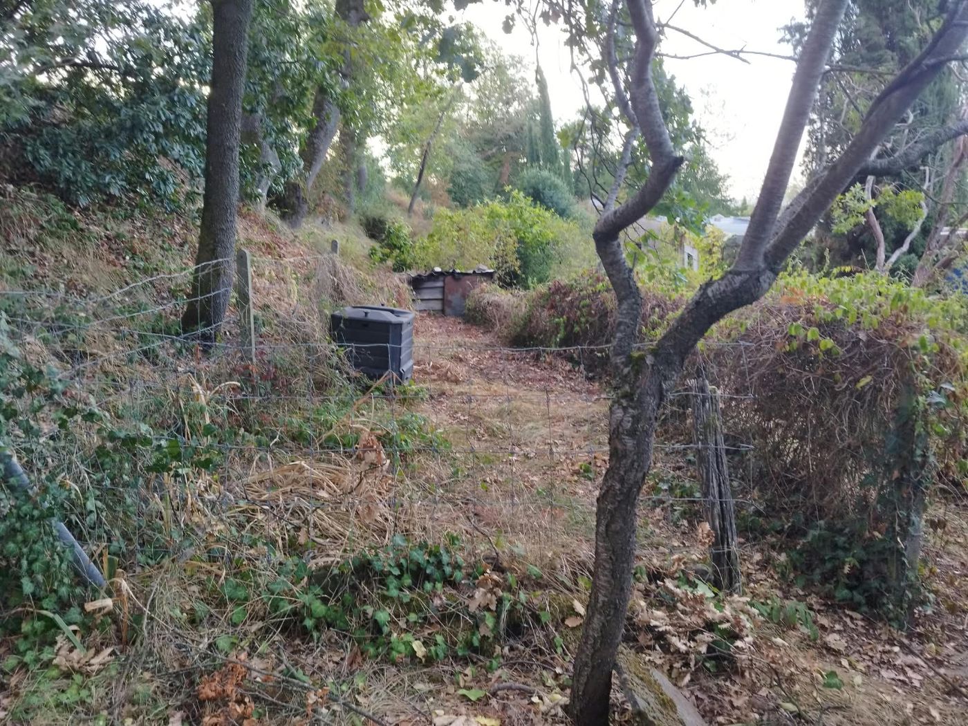 Ancien poulailler à retirer, Marquefave, réalisé par Pascal le Jardinier