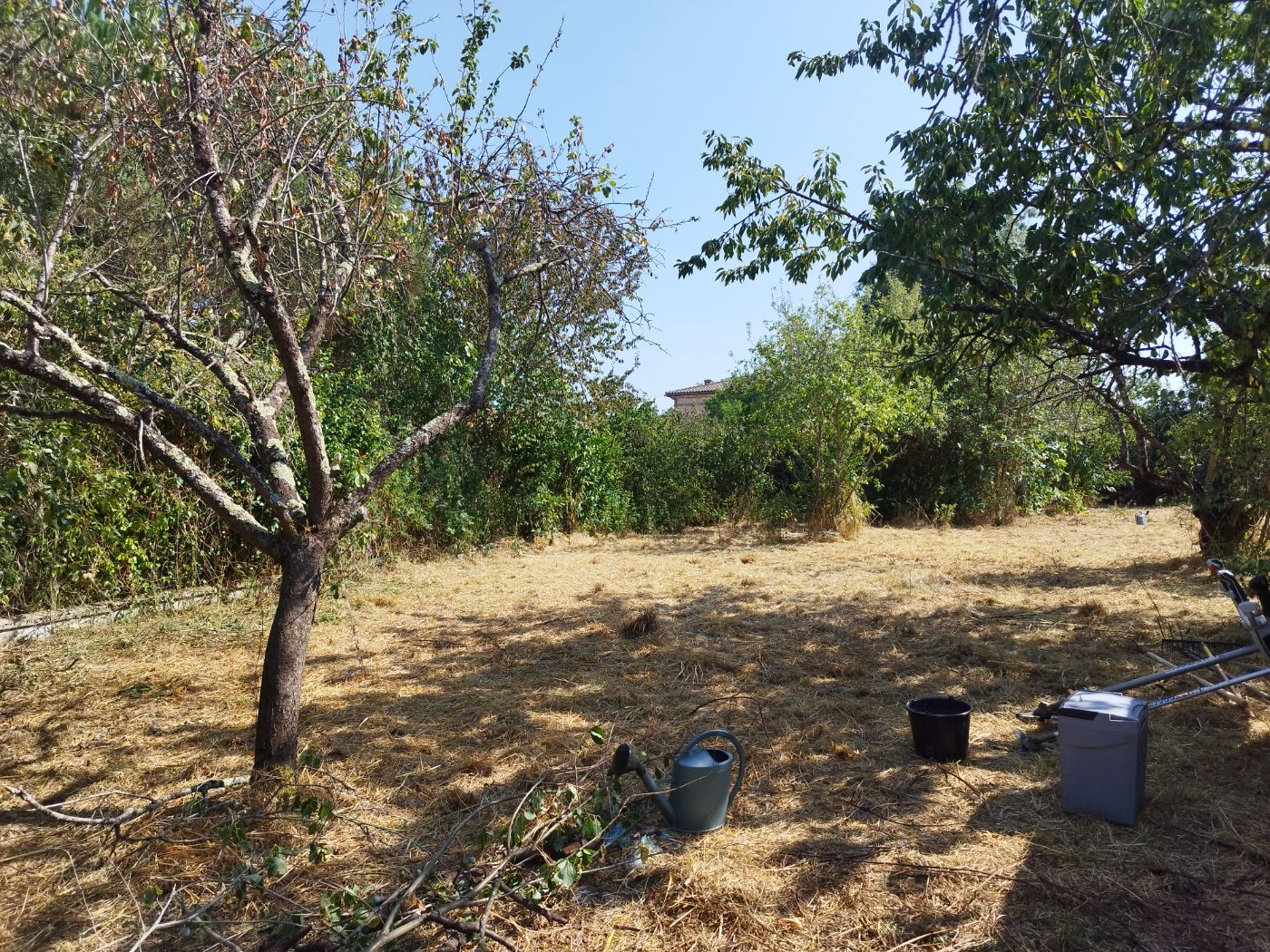 Chantier de Débroussaillage réalisé à Bérat par Pascal le Jardinier, paysagiste du réseau Factotum