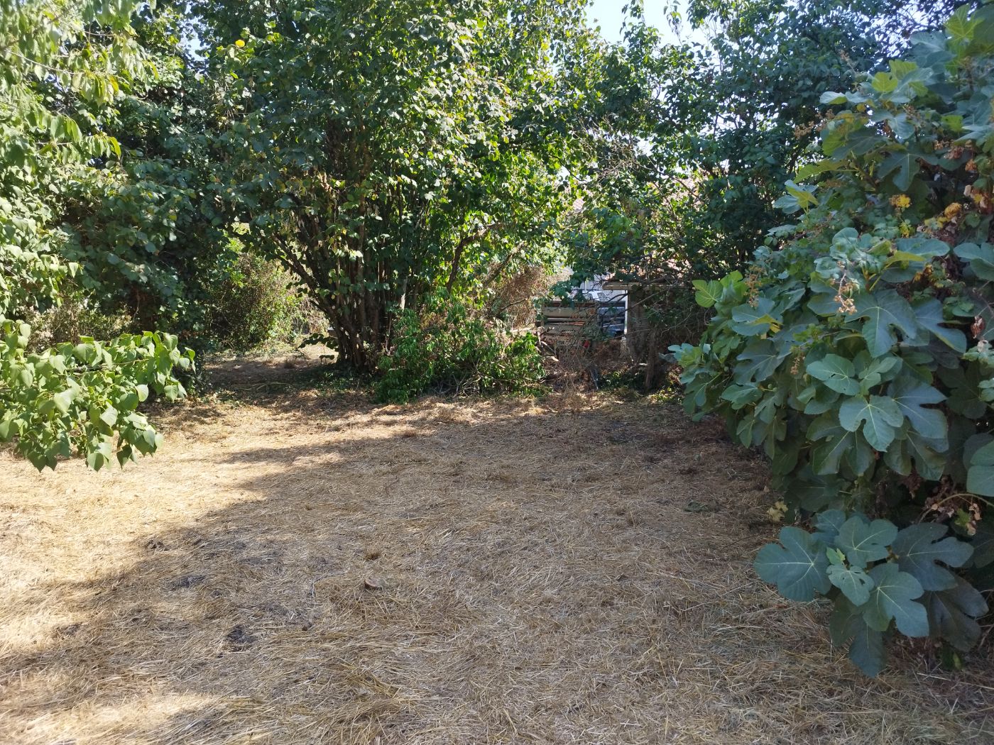 Chantier de Débroussaillage réalisé à Bérat par Pascal le Jardinier, paysagiste du réseau Factotum