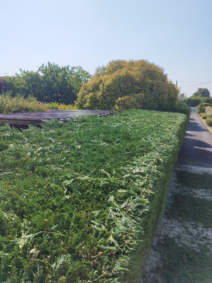 Chantier d'entretien de jardin réalisé par Pascal le Jardinier, paysagiste du réseau Factotum, près de Bérat