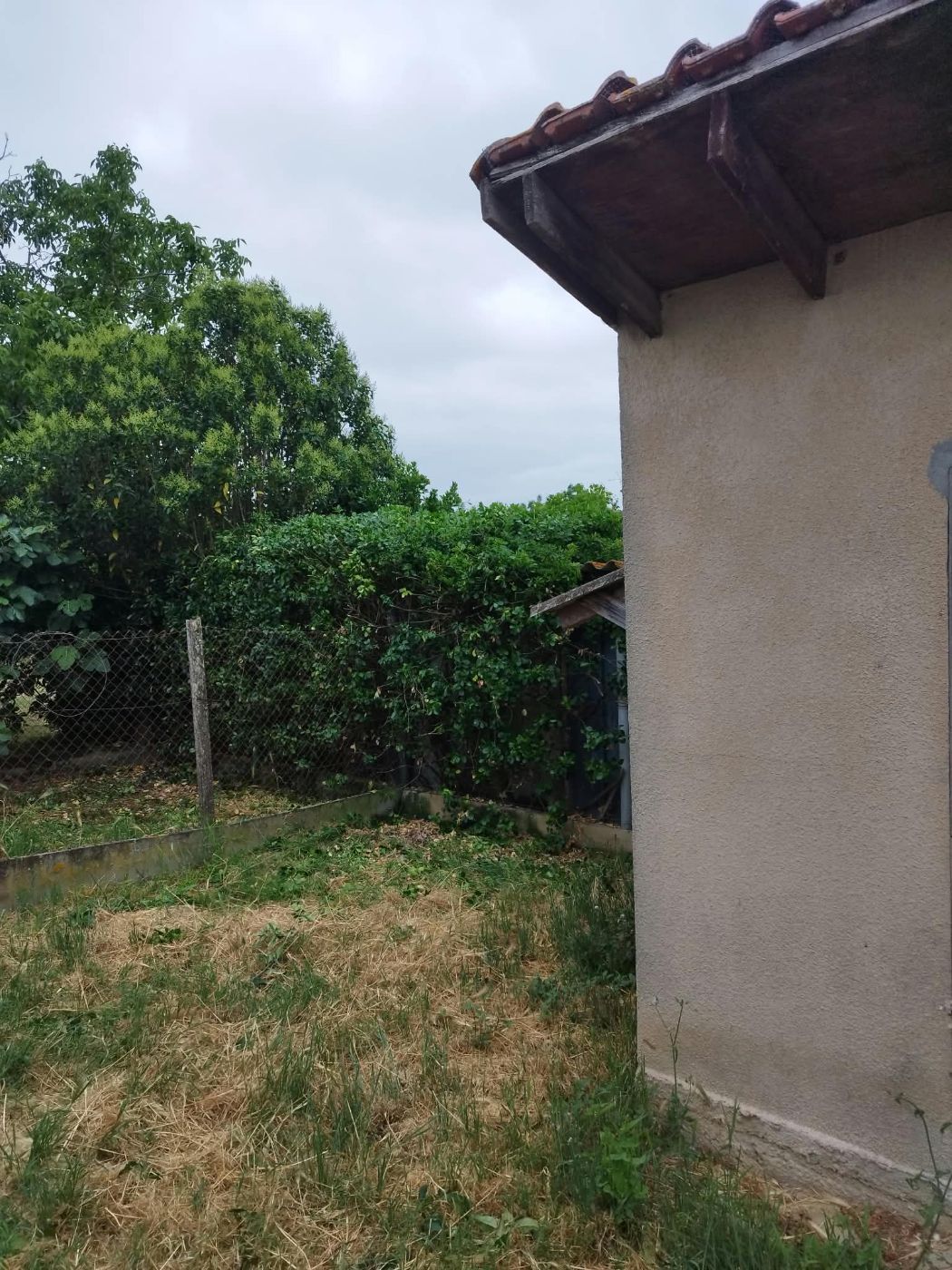 Taille haies, Grépiac, réalisé par Pascal le Jardinier