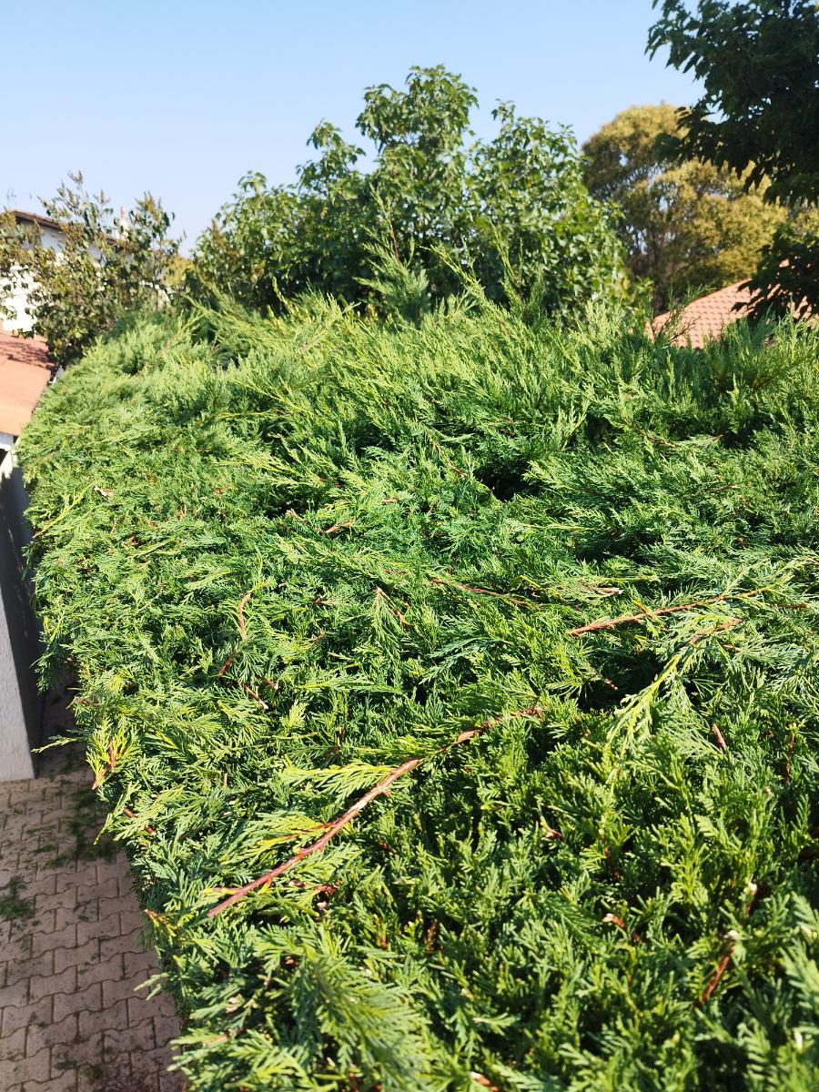 Chantier d'entretien de jardin réalisé par Pascal le Jardinier, paysagiste du réseau Factotum, près de Bérat