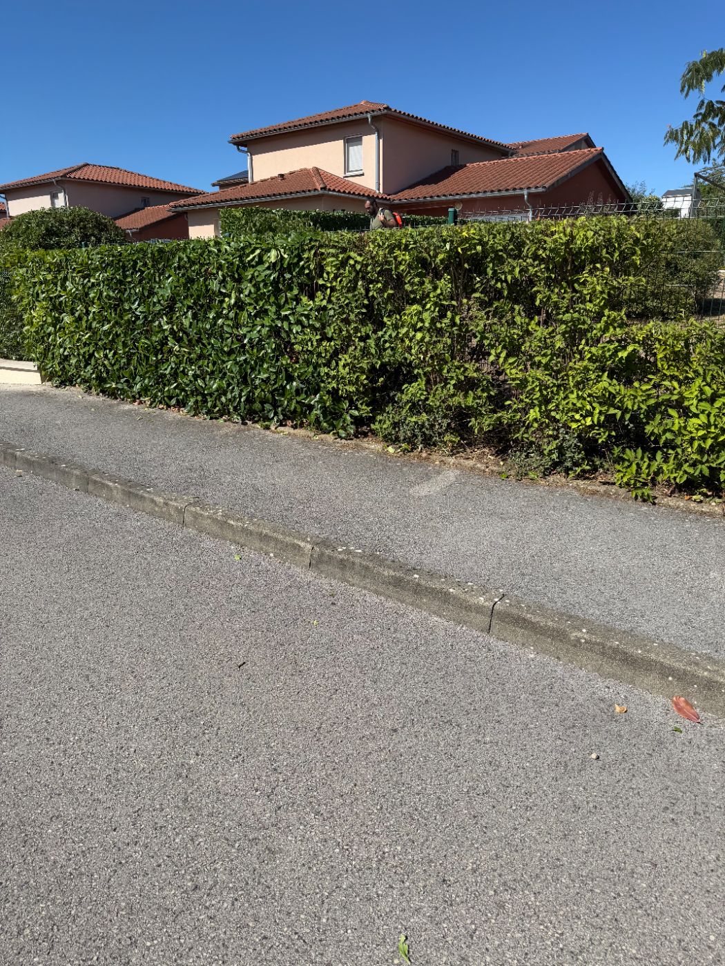 Taille de haie, Mâcon, réalisé par Paysages&Cours