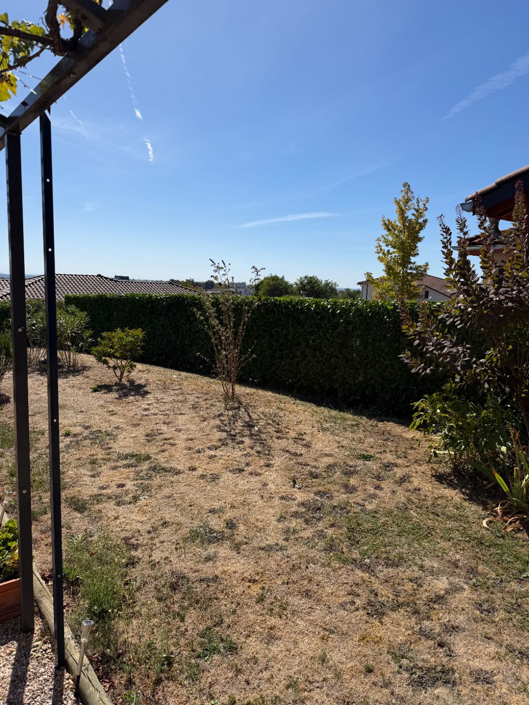 Taille de haie, Mâcon, réalisé par Paysages&Cours