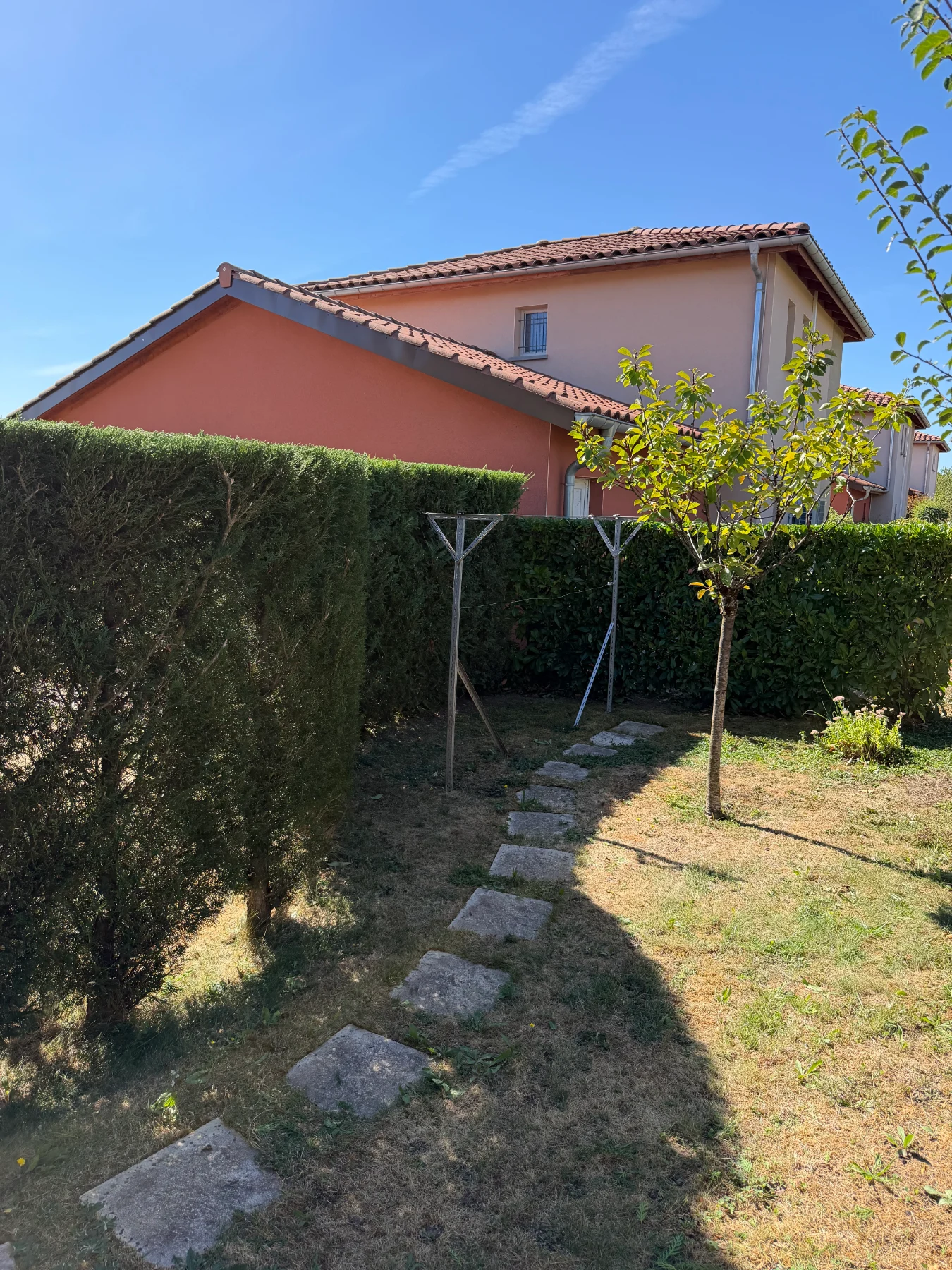 Taille de Haie dans le Secteur de Mâcon