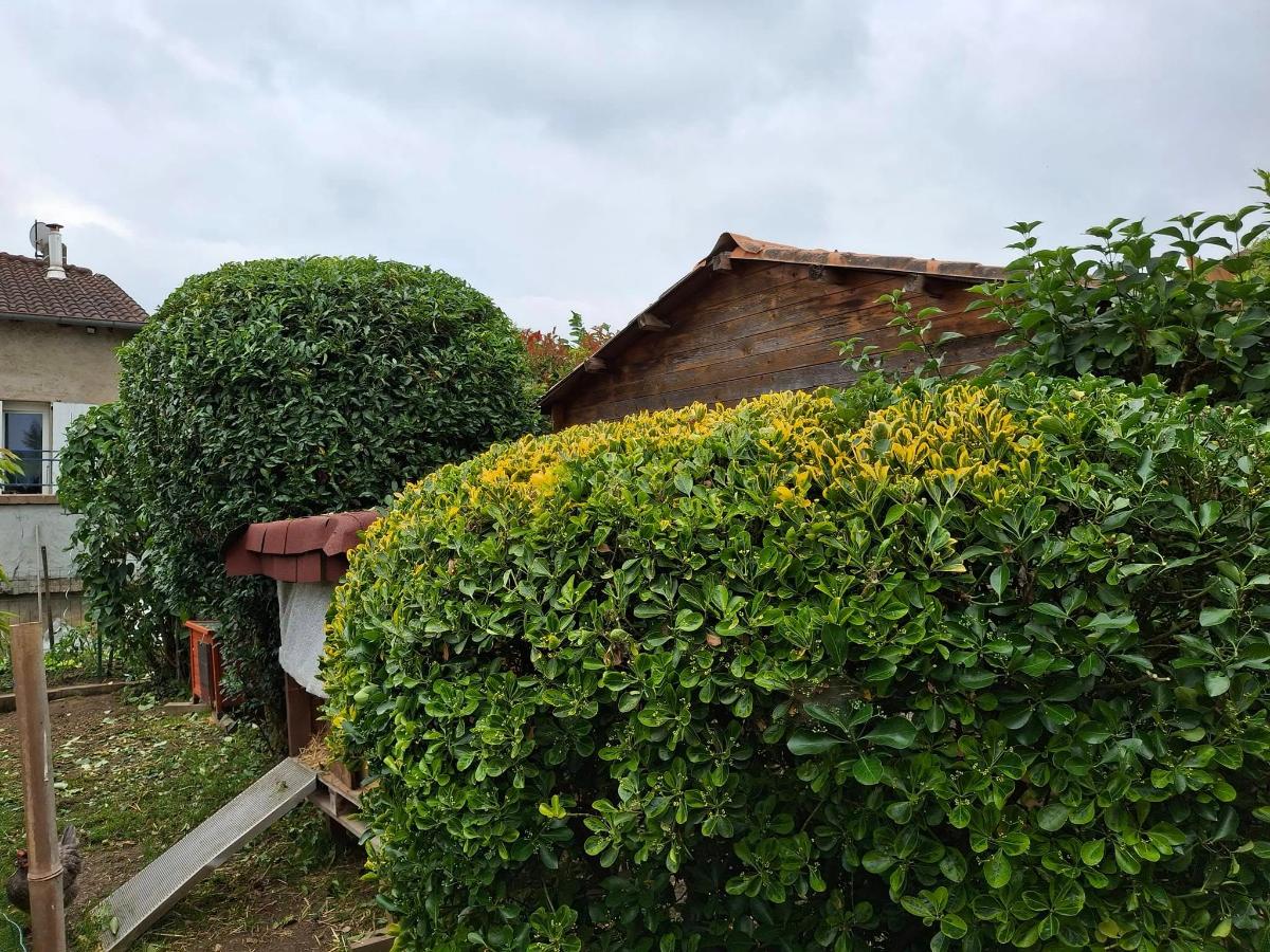 Chantier d'entretien de jardin réalisé par Paysages&Cours, paysagiste du réseau Factotum, près de Saint-Jean-sur-Veyle