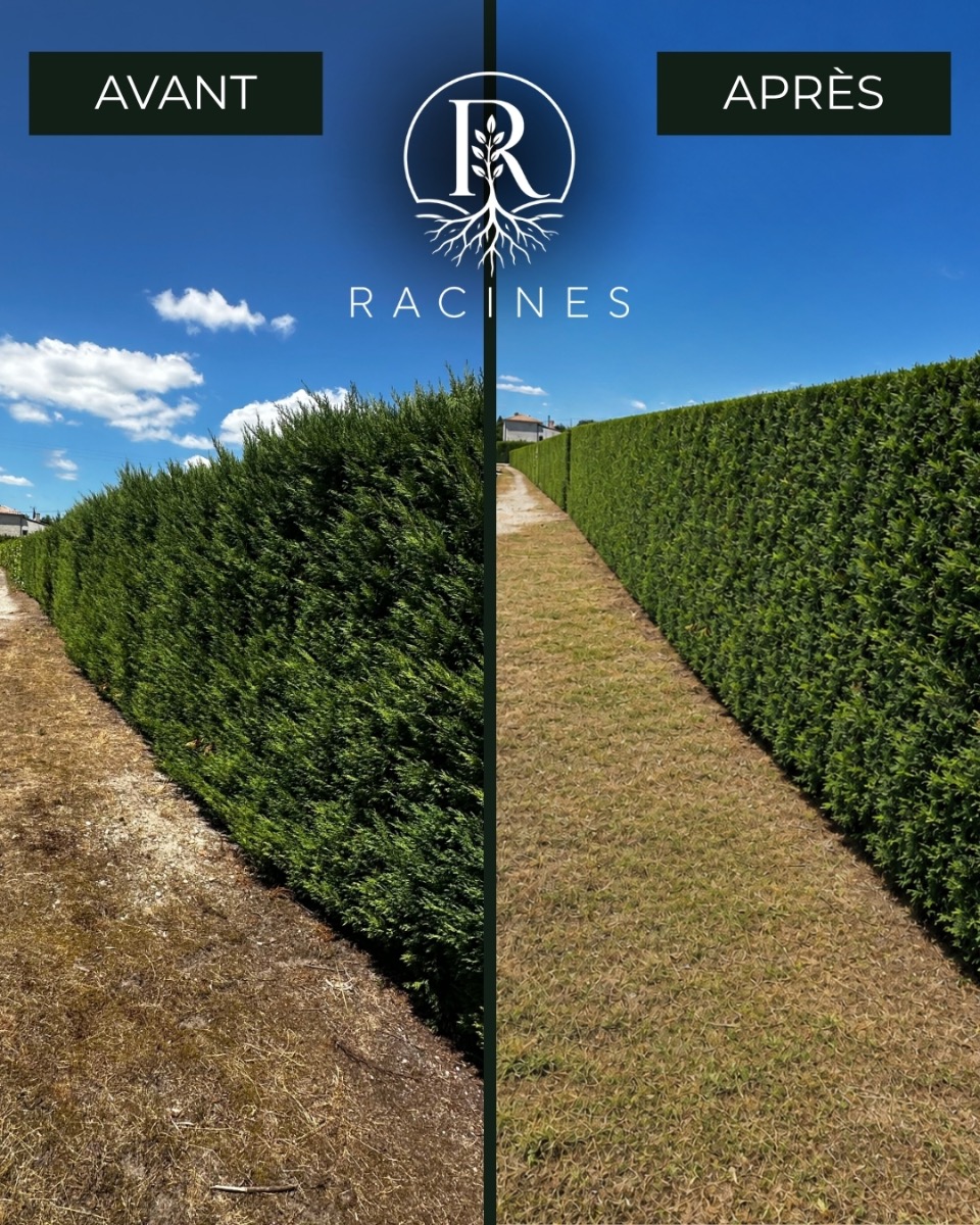 Chantier réalisé par RACINES