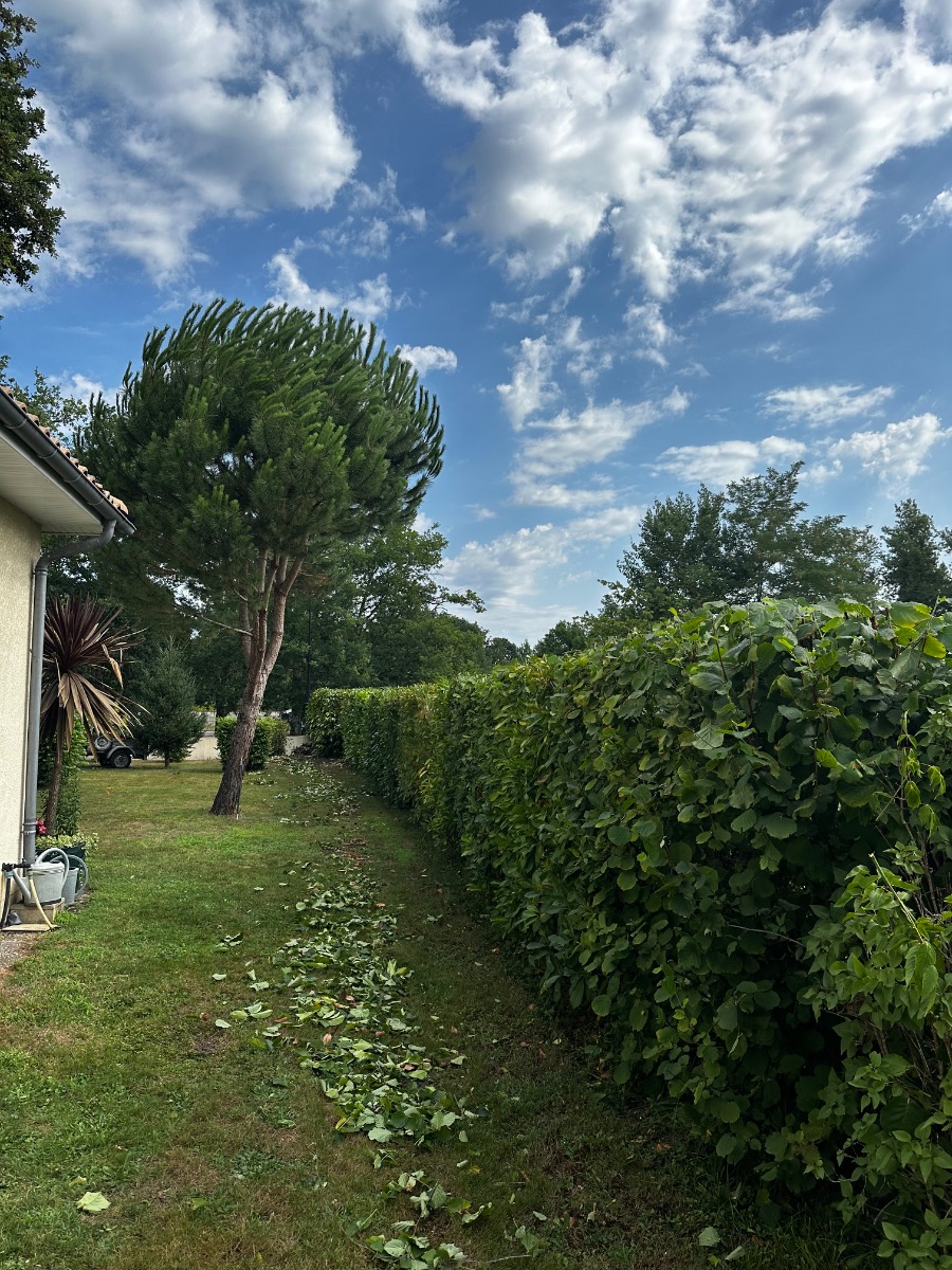 Chantier réalisé par RACINES