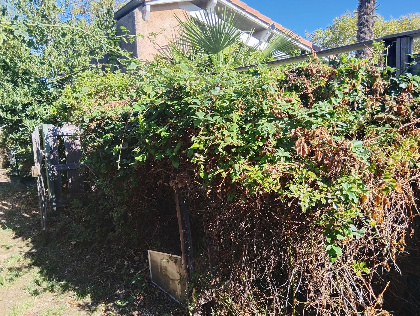 Nettoyage de jardin, Eaunes, réalisé par SAKARY