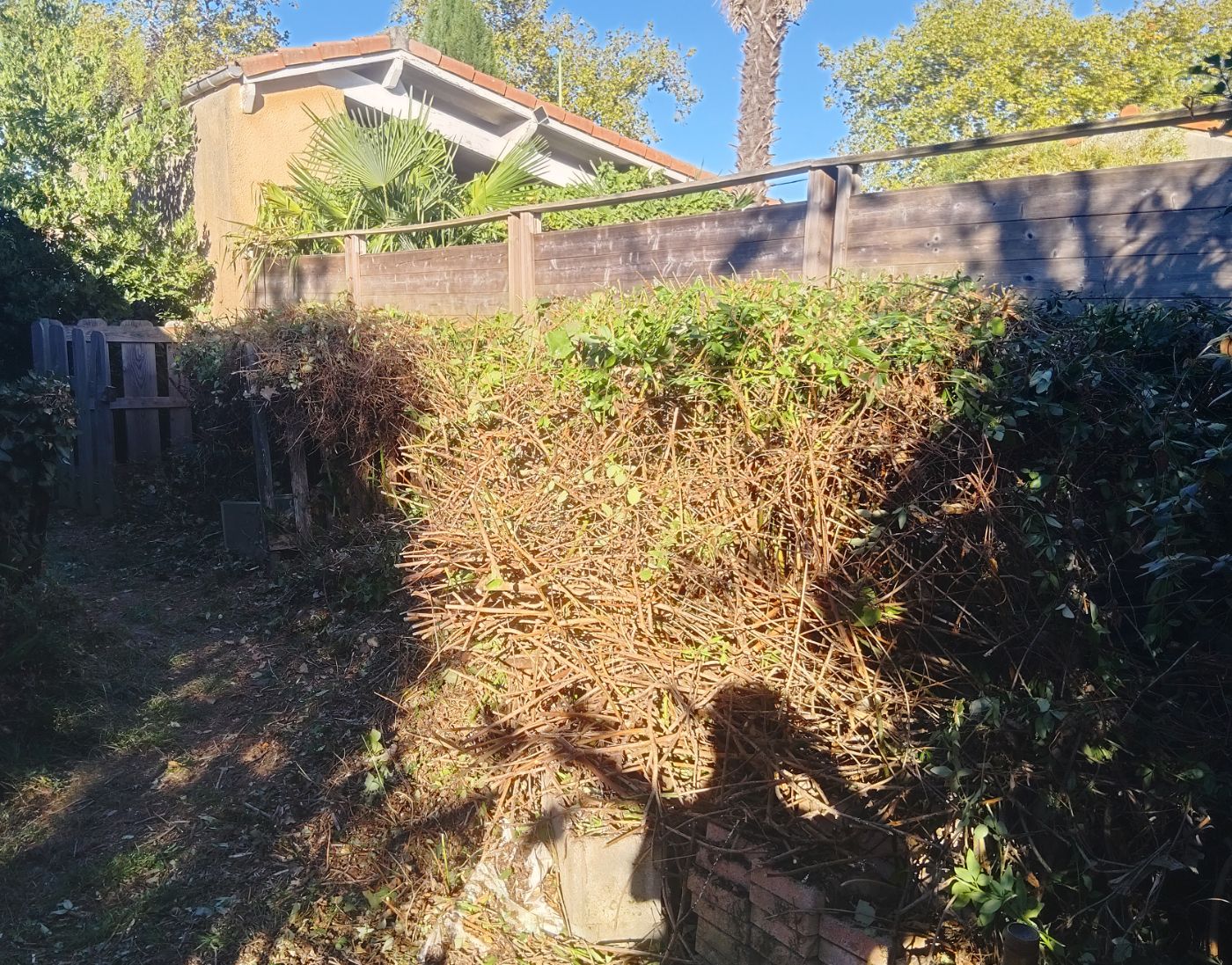 Nettoyage de jardin, Eaunes, réalisé par SAKARY