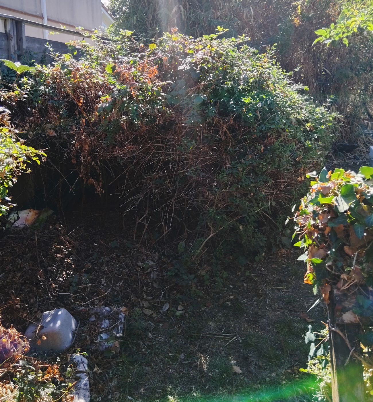 Nettoyage de jardin, Eaunes, réalisé par SAKARY