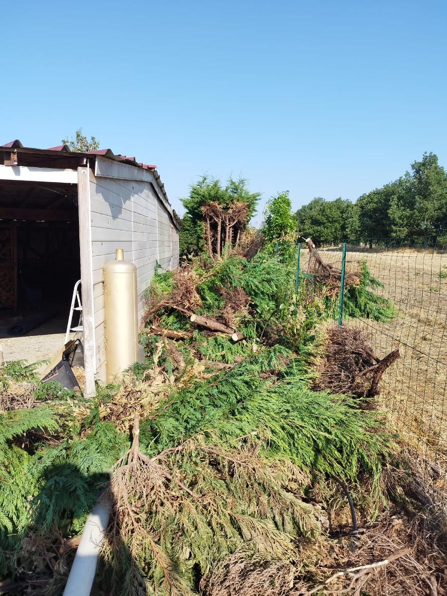 Chantier d'entretien de jardin réalisé par SAKARY, paysagiste du réseau Factotum, près de Beauzelle