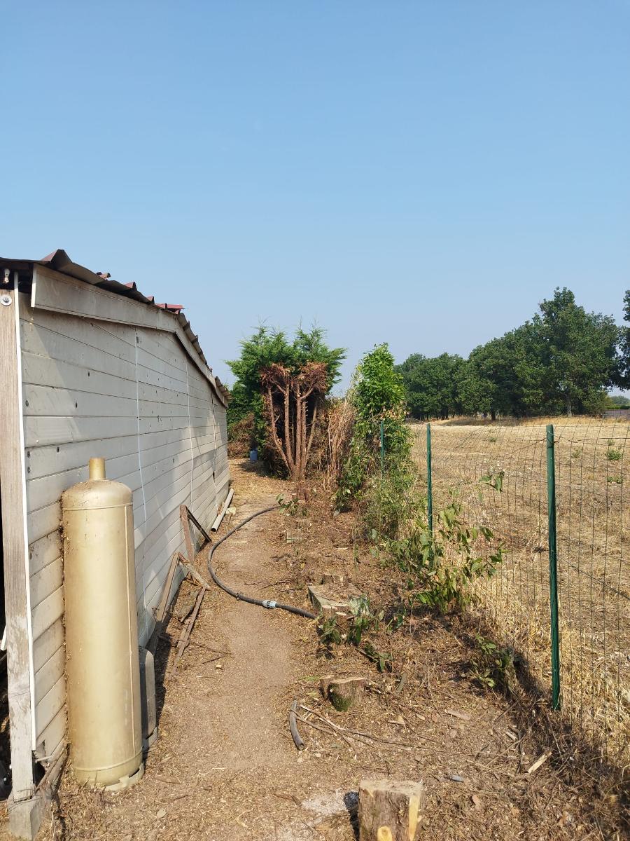 Chantier d'entretien de jardin réalisé par SAKARY, paysagiste du réseau Factotum, près de Beauzelle