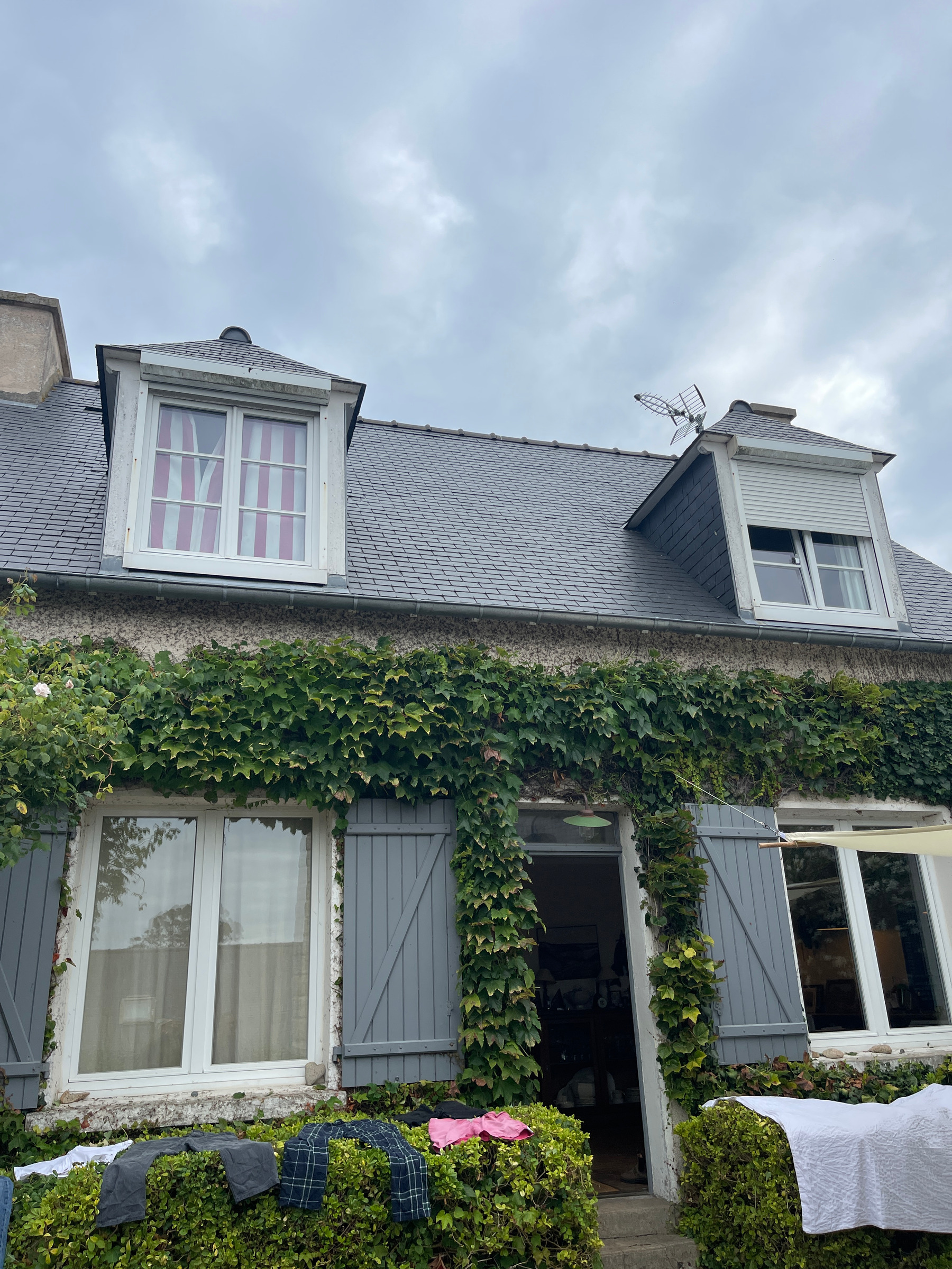 Chantier d'entretien de jardin réalisé par SauraMultiservices, paysagiste du réseau Factotum, près de Pessac