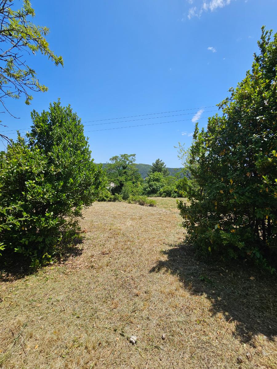 Chantier réalisé par SOS Jardin 34