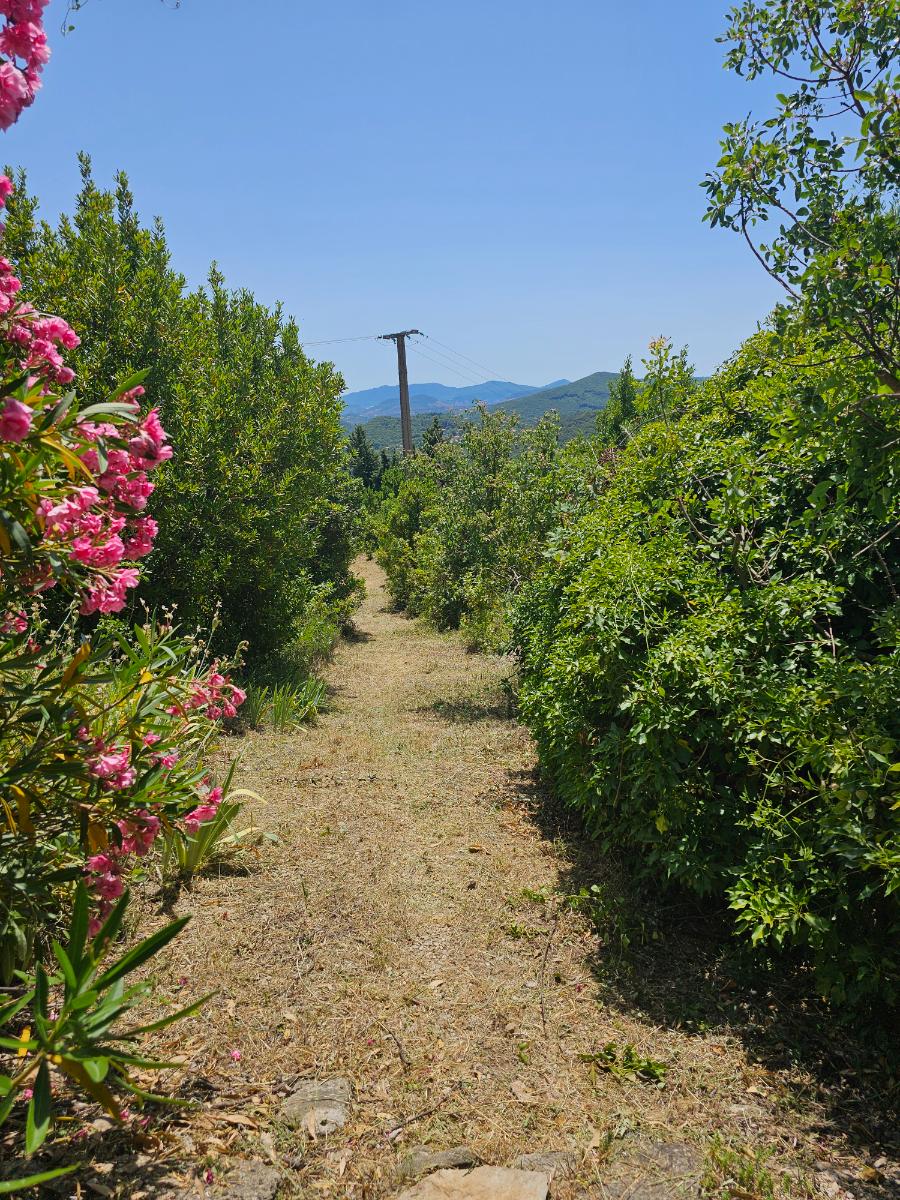 Chantier réalisé par SOS Jardin 34