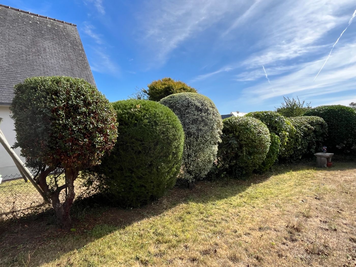 Taille de haie variée, Loctudy, réalisé par TEVENN