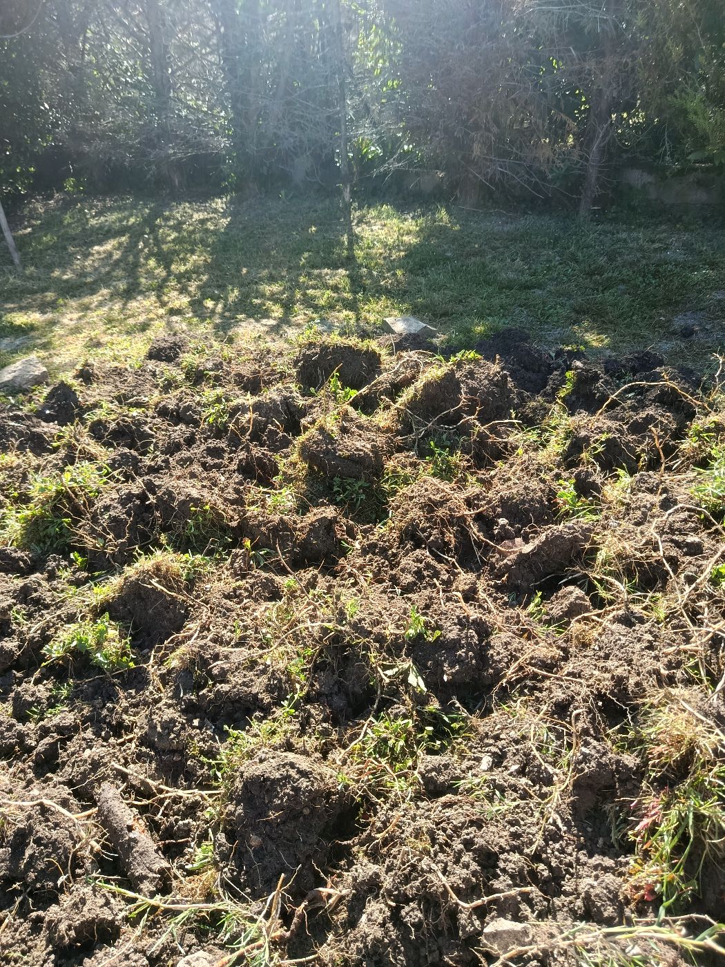 Création d'un massif fleurie, Sabarat, réalisé par Thibaud Zerr