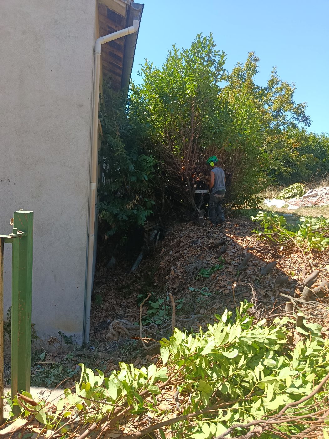 Arrachage de haie, Montbrun-Bocage, réalisé par Thibaud Zerr
