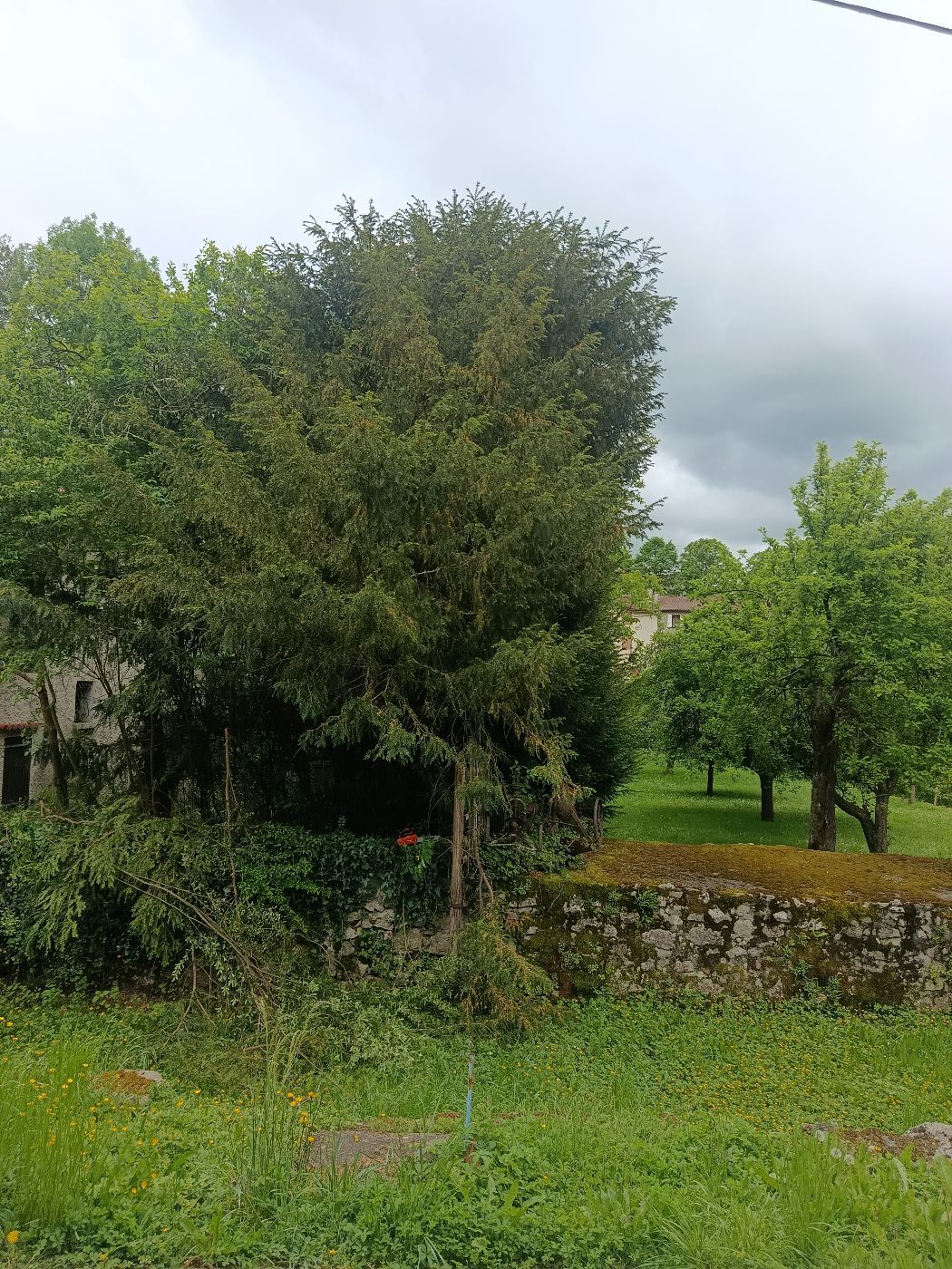 Taille annuelle et valorisation du jardin, Durban-sur-Arize, réalisé par Thibaud Zerr