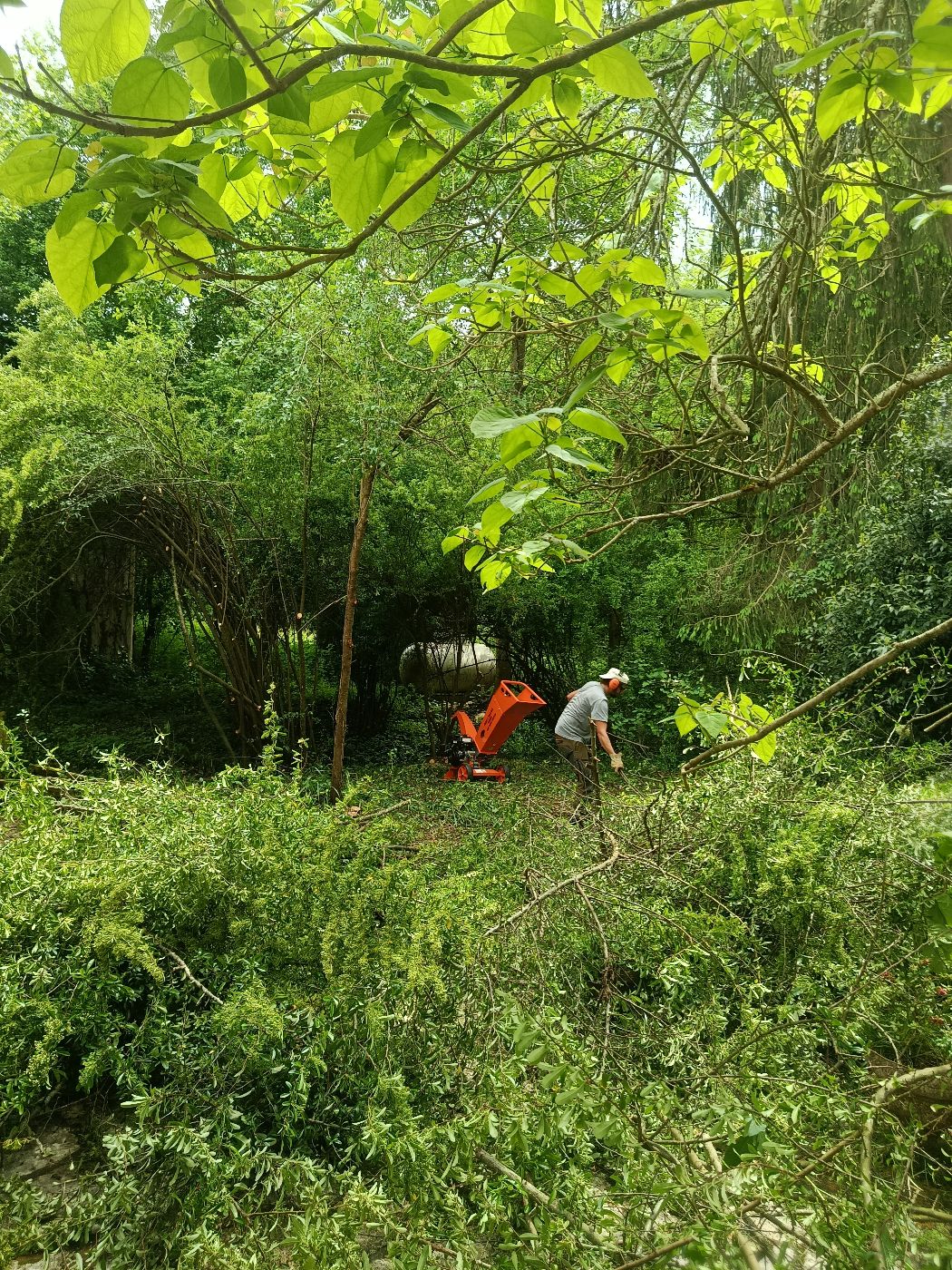 Taille annuelle et valorisation du jardin, Durban-sur-Arize, réalisé par Thibaud Zerr