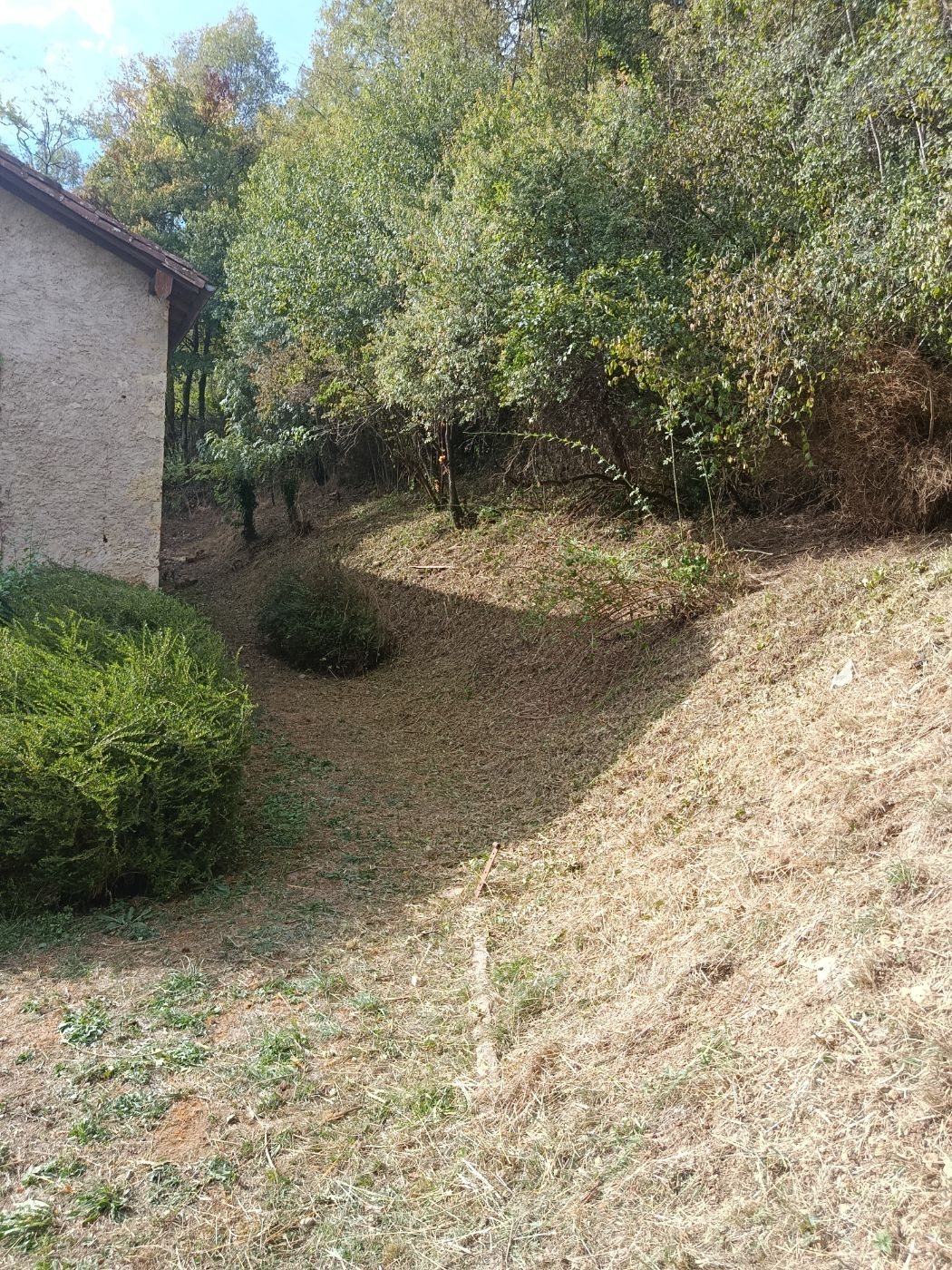 Chantier de Débroussaillage réalisé à La Bastide-de-Sérou par Thibaud Zerr, paysagiste du réseau Factotum