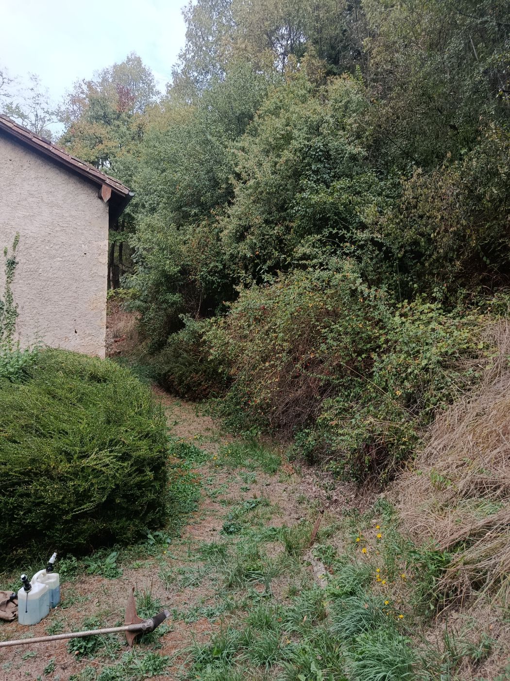 Chantier de Débroussaillage réalisé à La Bastide-de-Sérou par Thibaud Zerr, paysagiste du réseau Factotum