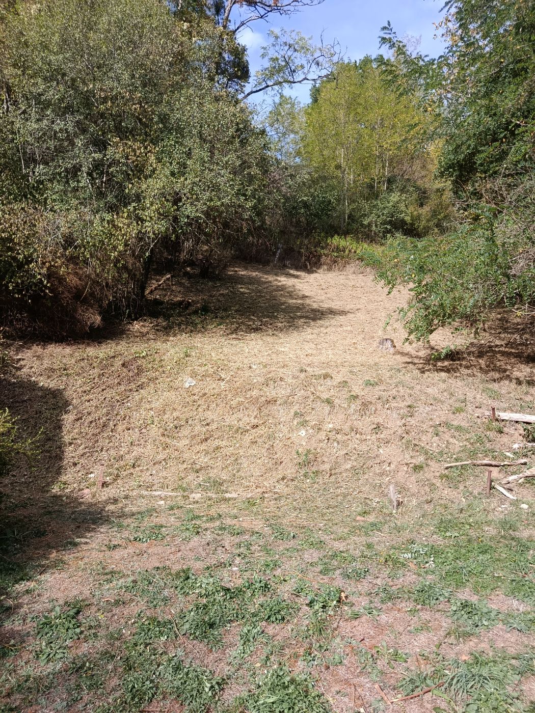 Chantier de Débroussaillage réalisé à La Bastide-de-Sérou par Thibaud Zerr, paysagiste du réseau Factotum