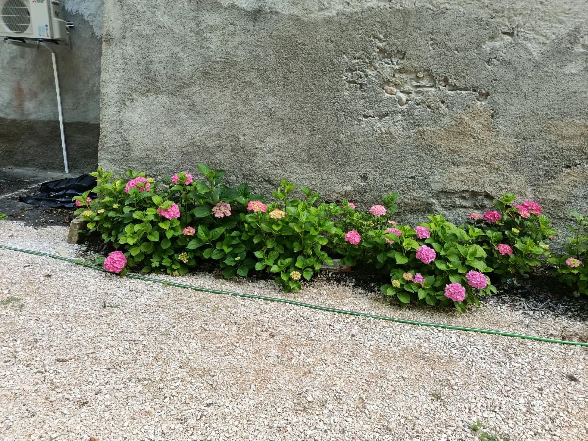 Chantier d'entretien de jardin réalisé par Thibaud Zerr, paysagiste du réseau Factotum, près de Durban-sur-Arize