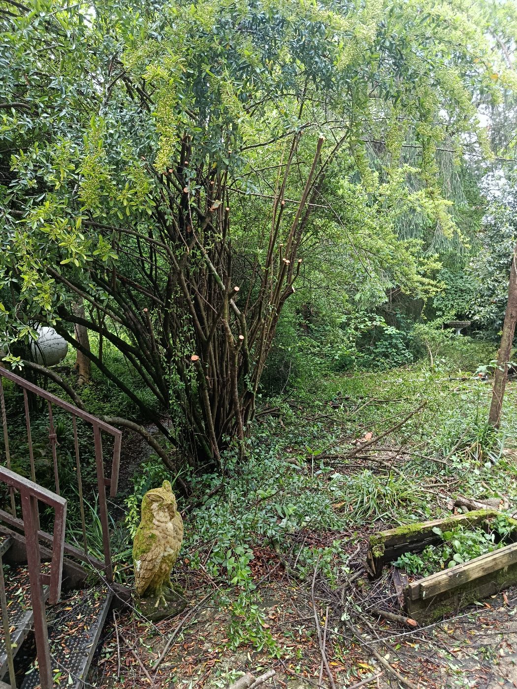 Taille annuelle et valorisation du jardin, Durban-sur-Arize, réalisé par Thibaud Zerr